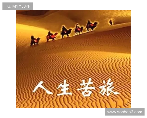 凯时人生就是赌:在不断的风险中寻找属于自己的幸福与成功之道